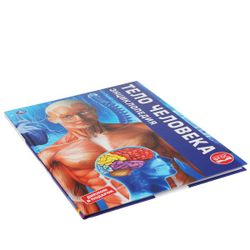 Умка / Umka / Encyclopedia "Human body"