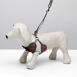 Пижон / Dude / Set of ammunition with a soft harness, size L (ОШ 30-50, ОГ 36-56 cm, leash 120x1.5 cm