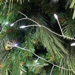 Kaemingk / LED 花环露体积 12 m 240 冷白迷你 LED 灯、白线、控制器、IP44