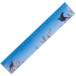 3D ruler, 30 cm, BRAUBERG, the effect of movement, "Birds", Euro slot