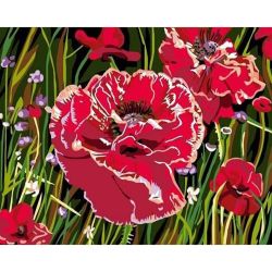 Опт-картина / Pintura por números 20x30 Amapolas