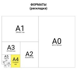 Book accounting 72 sheets, A4, 200x290 mm, STAFF, cage, cover of chalked cardboard, block offset offset