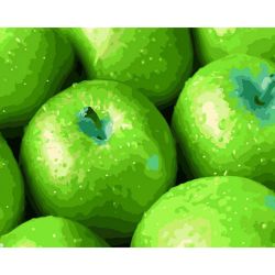 Опт-картина / Pintura por números 40x50 Maçãs verdes