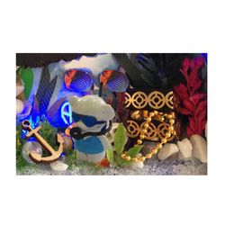 Hobby day / Roombox "Pirate treasures"