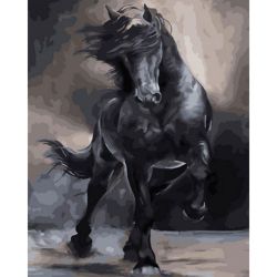 Опт-картина / Tranh theo số 40x50 GX 31268 Ngựa đen