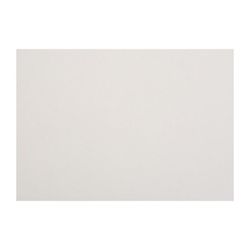 Лилия Холдинг / Whatman drawing A4 100 sheets
