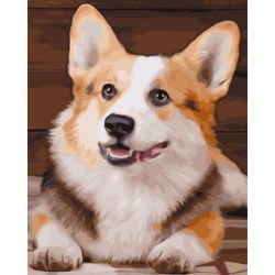 Опт-картина / Sayılara göre boyama 40x50 Welsh Corgi