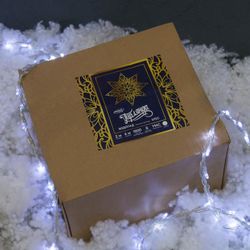 Luazon Lighting / Garland "Waterfall"