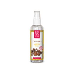CLOTH WATER, 100 ml