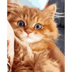 Опт-картина / Painting by numbers 40x50 Ginger kitten