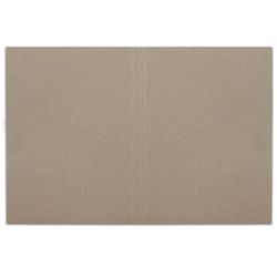 The folder without the folder "Business", cardboard, density 300 g/m2, up to 200 sheets, BRAUBERG
