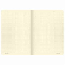 BRAUBERG / Notebook 48 y. point to point cover leatherette SoftTouch, stitching, A5 (147х210mm), WHITE, RAINBOW / 10 pcs.