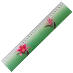3D ruler, 30 cm, BRAUBERG, the effect of the movement, "Amazing flower", Euro slot