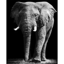 Опт-картина / Pintura por números 40x50 Elefante