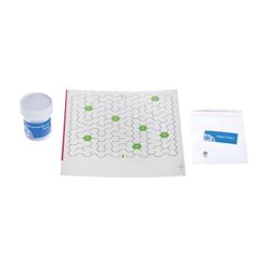 Set per esperimenti "Giovane fisico. Labirinto magnetico", INTELLECTICO