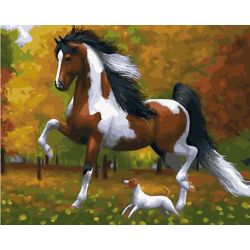 Опт-картина / Sayılara göre boyama 40x50 Benekli at