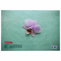 Folder-envelope with button BRAUBERG "FLOWER", A4, 160 micron, 100 sheets color printing