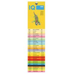 Color paper A4 100 l "IQ color"