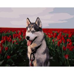 Опт-картина / Pintura por números 40x50 Husky