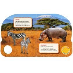 Умка / Umka / Book with a musical button "Stepanov V. Wild animals"