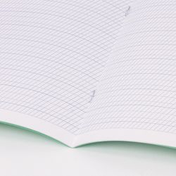 BRAUBERG / Notebook GREAT NAMES. Pushkin A.S., 12 years old. frequent slanting WITH ADDITIONAL HORIZONTAL, thick paper 80g / m, offset cover / 20 pcs.