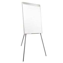 Flipchart board magnetic marker 70x100 cm, on a tripod, Poland, BRAUBERG Extra