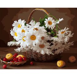 Опт-картина / Painting by numbers 40x50 Chamomile and berry
