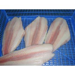 Frozen Pangasius Hypophthalmus Fillet Untrimmed