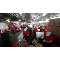 CANNED PINEAPPLE BULK (factory)