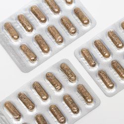 Сашель / Siberian larch tapping with white willow bark, noodle root, new joints, 30 capsules 0.5 g each
