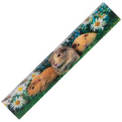 3D ruler, 30 cm, BRAUBERG, three-dimensional, "Cute pussies", Euro slot