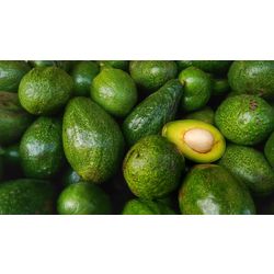 Fresh avocado