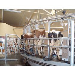 Milking halls "Carousel"