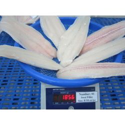 Pangasius fillet (Pangasius hypophthalmus)