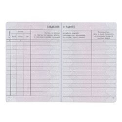 Goznak / Form of the document "Insert in the work book", 88x125 mm