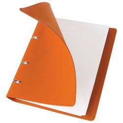 BRAUBERG / Notebook on rings A5 (180x220 mm), 120 sh., Textured leather, "Joy", orange / light orange / 2 pcs.