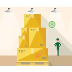 Storage of goods in a customs warehouse
