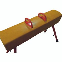 Спорт-Игра  / Gymnastic horse, artificial leather