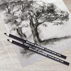 Pencil coal BRAUBERG ART CLASSIC, 1 piece, solid, round, case, black, honed