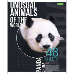 HATBER / Notebook А5 48 p. -ECO, bracket, cage, cardboard cover, "Animals" / 10 pcs.