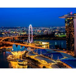 Опт-картина / Painting by numbers 40x50 Singapore at night