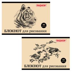 ПИФАГОР / Drawing pad "Wild World" 2 types, 40 sheets of A4, 200x285 mm, staple, offset cover, horizontal