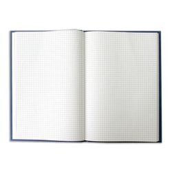 Book accounting 96 sheets, A4 200-290 mm BRAUBERG, cage, hard cover of cardboard, boomvinil, block offset