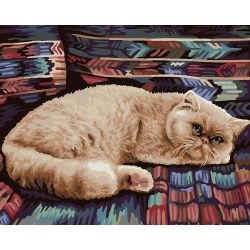 Опт-картина / Peinture par numéro CAKADU 40x50 Chat persan