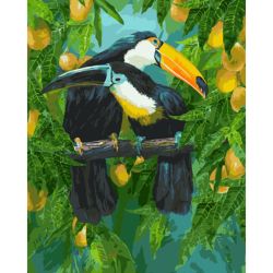 Опт-картина / Painting by numbers 40x50 Toucans