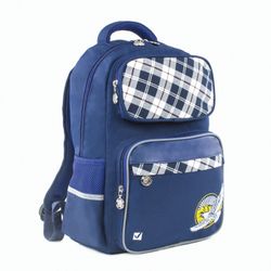 BRAUBERG backpack with pencil case in the kit, ergo-backrest, boys, "eagle", 42х29х14 cm