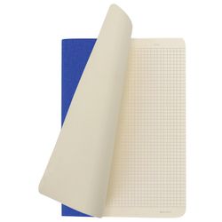 BRAUBERG / Notebook 60 l. checkered cover leatherette under linen, stitching, B5 (179x250mm), BLUE, PASTEL / 2 pcs.