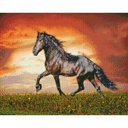 Опт-картина / Elmas mozaik, 40x50, kare yapay elmaslar Siyah aygır