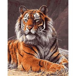 Опт-картина / Pintura por números 40x50 Tigre