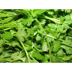 Coriander dried